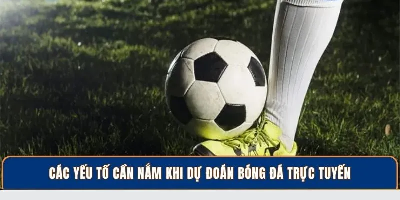 Các yếu tố cần nắm khi dự đoán bóng đá trực tuyến